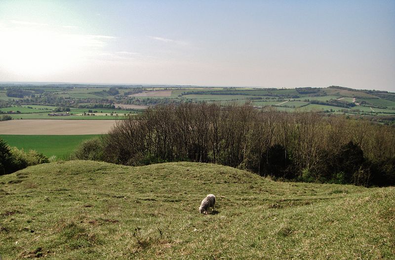 File:Old Winchester Hill 3 mounds.jpg