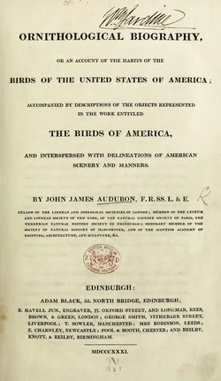 Ornithological biography, or an account of the habits of the birds of the United States of America, volume 1.djvu