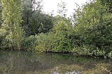 View of the River Oughton and Oughtonhead Nature Reserve from Oughtonhead Common Oughtonhead Nature Reserve 2.JPG