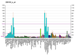 PBB GE TCF3 209153 s bei fs.png