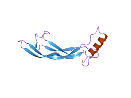 File:PDB 1zkz EBI.png