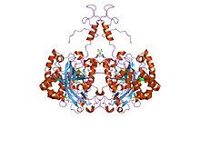 PDB 2a9e EBI.jpg