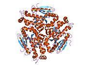 PDB 2fbm EBI.jpg