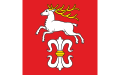 Flaga gminy Bukowsko