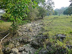 Landschaft im Municipio Palenque