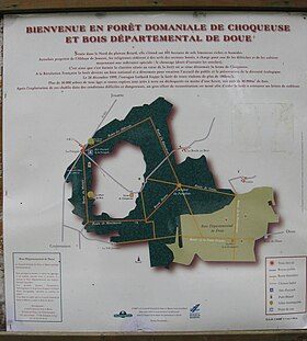 Illustrasjonsbilde av artikkelen Forest of Choqueuse