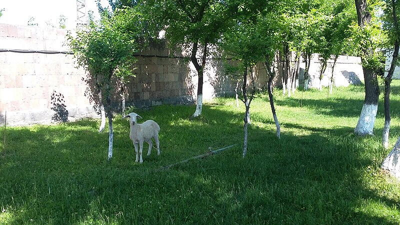 File:Park Yeraz, Yerevan 09.jpg