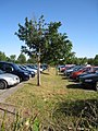 Parkplatz - Boltenhagen - geo.hlipp.de - 4746.jpg