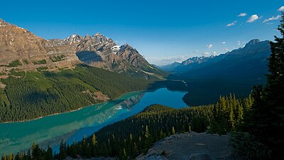 Peyto Lake from Lookout