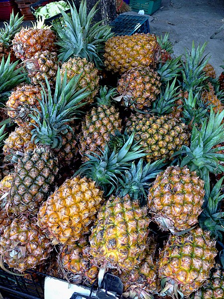 File:Pineapples at display.jpg