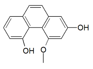 Plicatol B Chemical compound