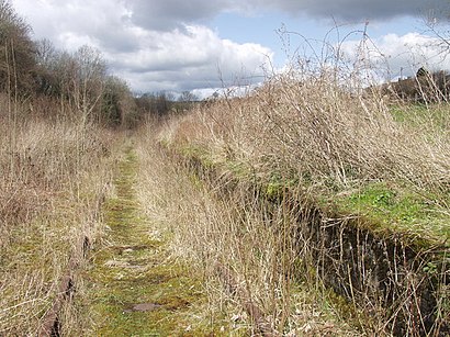 Porthywaen Halt, near Llynclys - geograph.org.uk - 155442.jpg