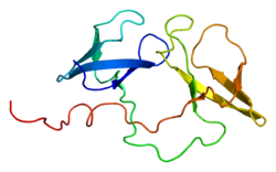 Protein FMR1 PDB 2bkd.png