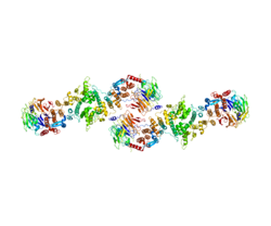 Ақуыз SEC13 PDB 3BG0.png