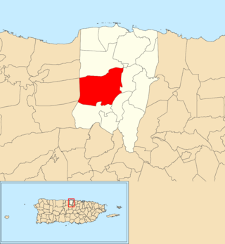 <span class="mw-page-title-main">Pugnado Afuera</span> Barrio of Vega Baja, Puerto Rico