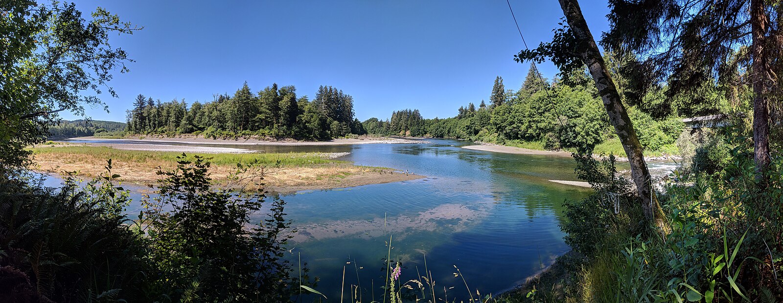 Река под прямым углом. Quillayute River. Богачиел река. Клаллам (округ). Quillayute River forks WA.