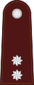 RTP OF-1b (Tenente de Polícia) .svg