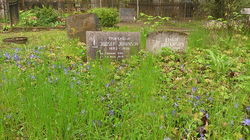 File:Raadi cemetery, Tartu, May14th, 2015 07.JPG