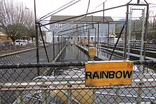 Issaquah Salmon Hatchery Rainbow Trout 192.jpg