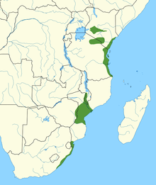 Range of the Eastern Green Mamba.png