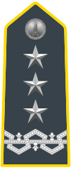General of Army Corps (Lieutenant-General); interregional commanders have this rank.