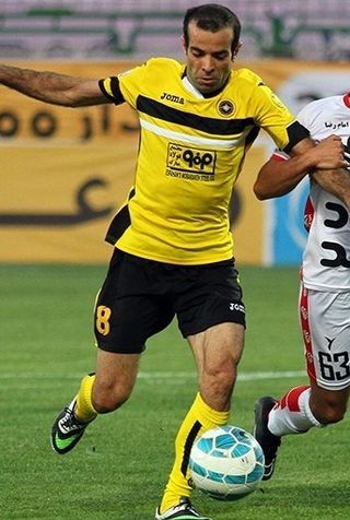 <span class="mw-page-title-main">Rasoul Navidkia</span> Iranian footballer