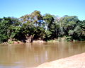 Rio mearim