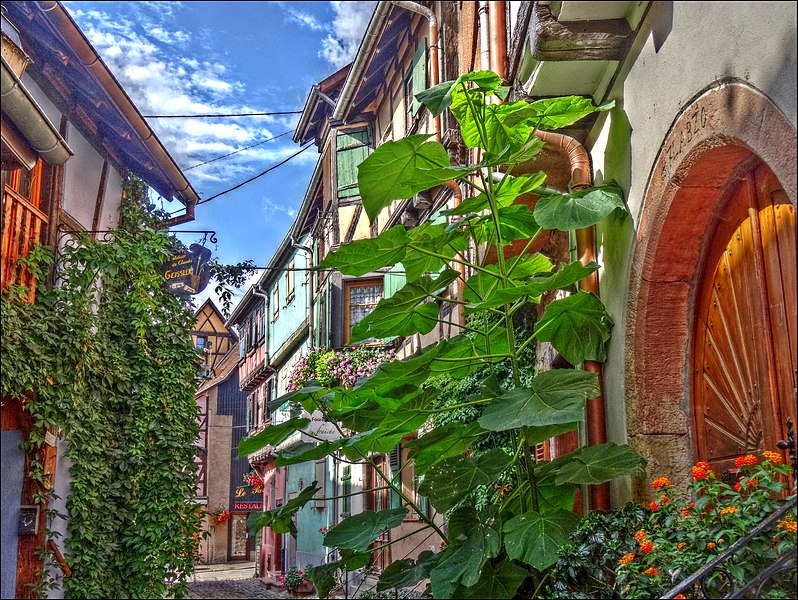 File:Rue du Rempart Nord, Eguisheim, Alsace - panoramio (2).jpg
