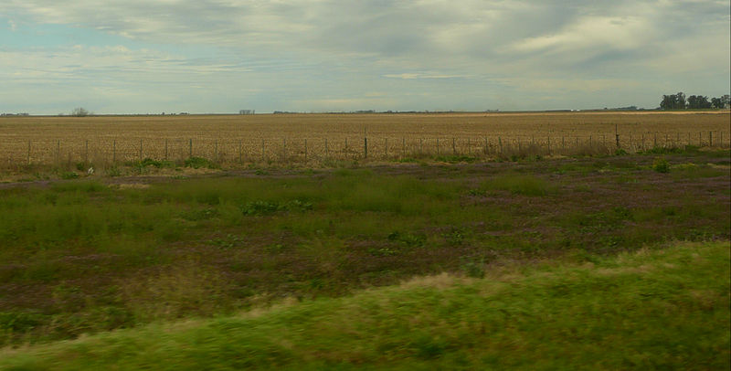 File:Ruta Fortín Olavarría - Trenque Lauquen 19 banquina arada.jpg