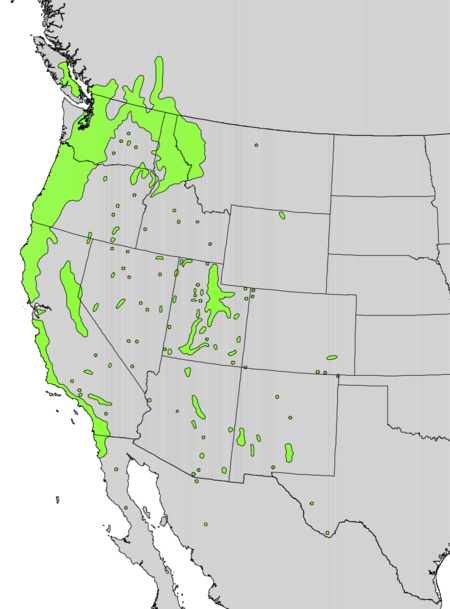 Sambucus glauca range map.png