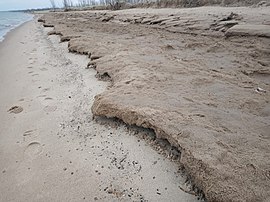 Remnant shelf ice covered with sand and undergoing gradual denivation on a Lake Michigan beach
