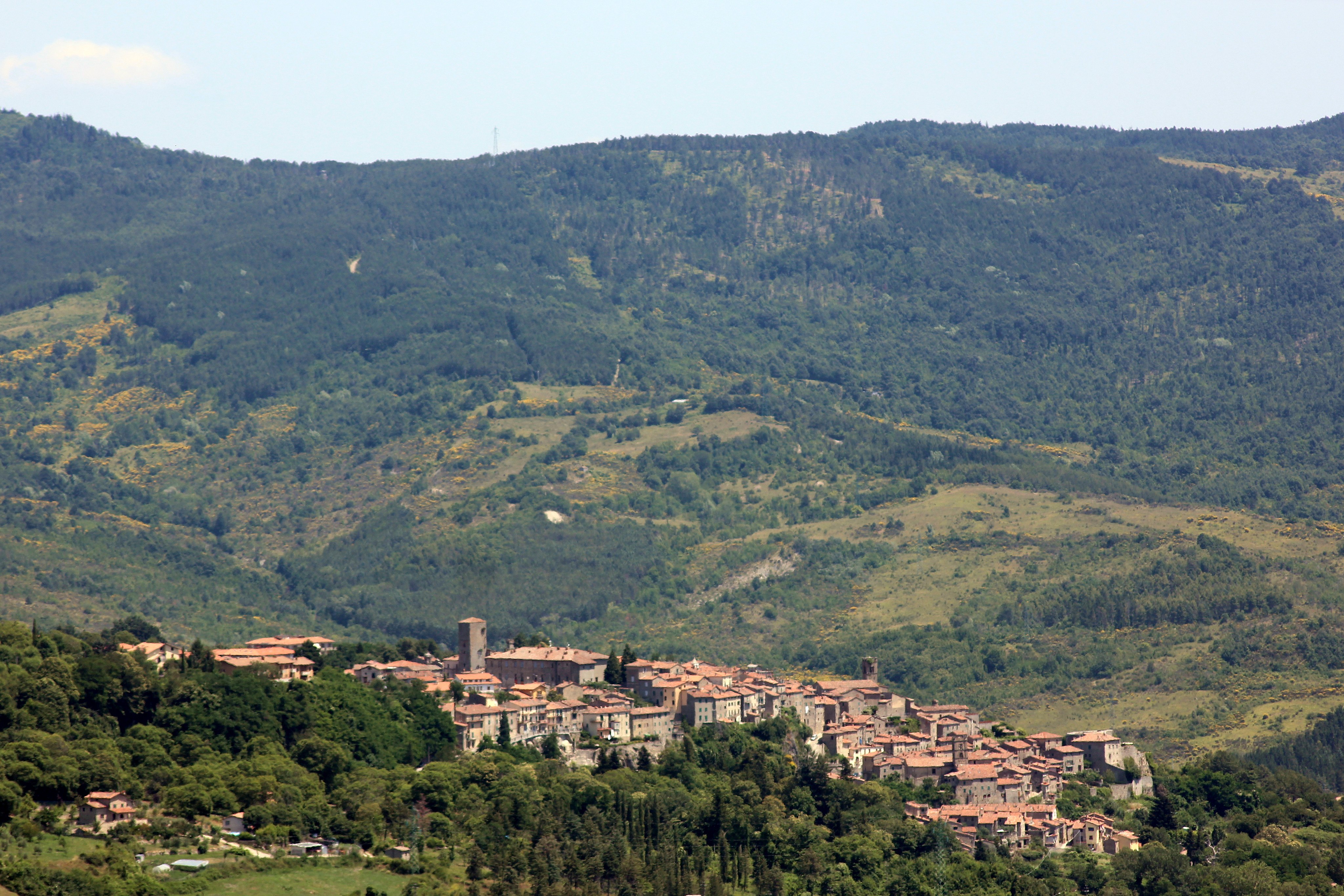 Veduta di Santa Fiora