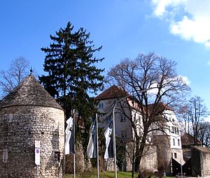 Reste der Burg in Abensberg (im Vordergrund)