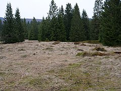 Schluftwiesen in April 09.jpg 78889632 6 553 20190601074156