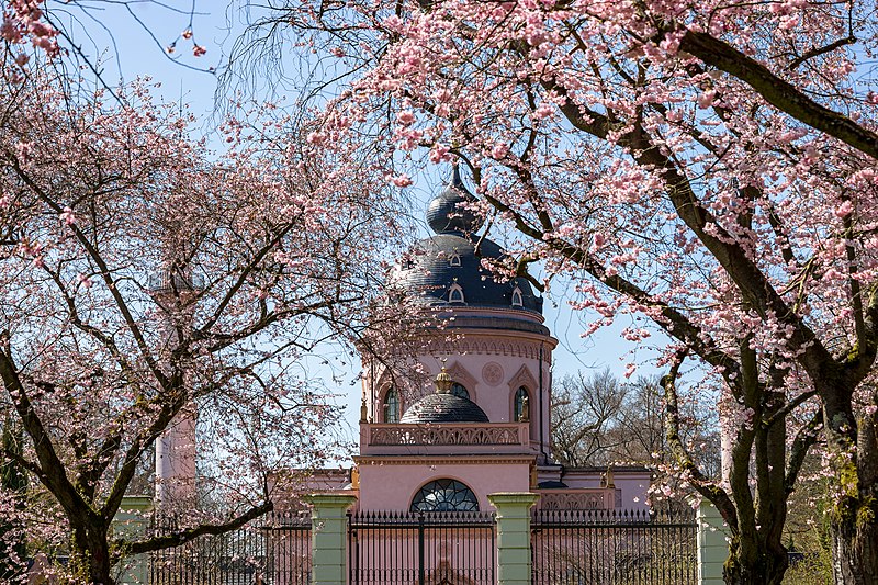 File:Schwetzingen - Schlossgarten - Moschee - Ansicht durch blühende Kirschbäume.jpg