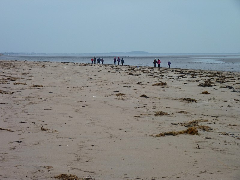 File:Sea weed and walkers - geograph.org.uk - 2282648.jpg