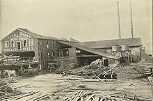 Newell Mill, South Park's leading business in 1900. Seattle - Newell Mill - 1900.jpg