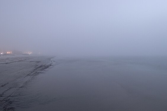 Beach Fog, South Australia
