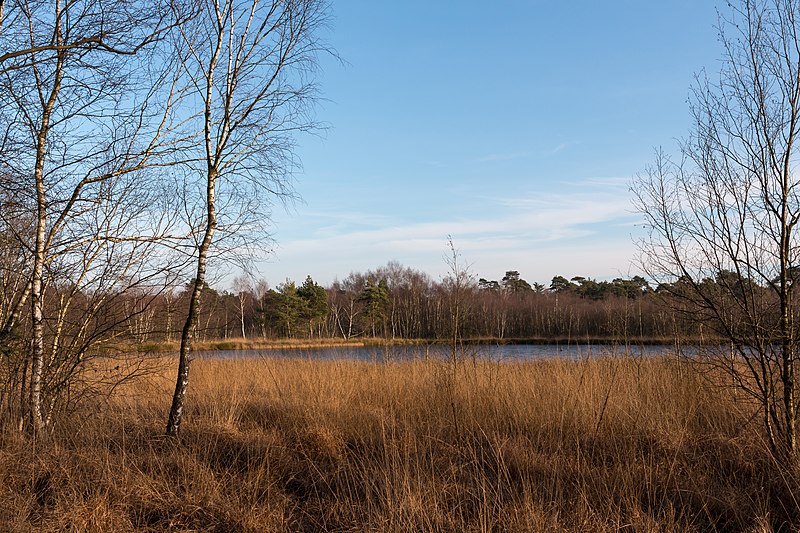 File:Senden, Venner Moor -- 2016 -- 5879.jpg