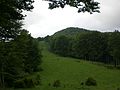 Miniatura per Serra de Santa Magdalena (Vallfogona de Ripollès)