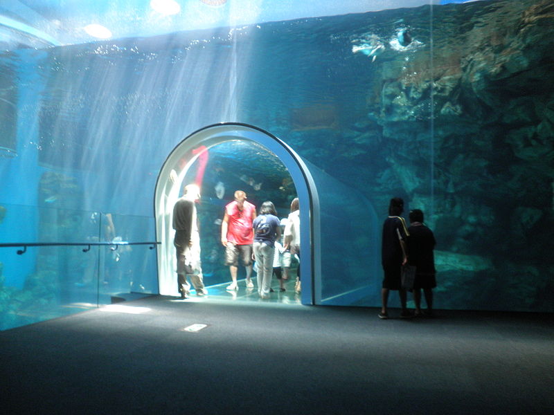 File:Shimonoseki Aquarium KAIKYOKAN 2013-08B.JPG