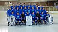 Slovenian national U18 junior ice hockey team.jpg