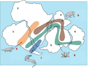 Biostratigraphic correlation of fossils in the greater Gondwana across present-day South America, southern Africa, Antarctica and Australia. Snider-Pellegrini Wegener fossil map-i18n.png