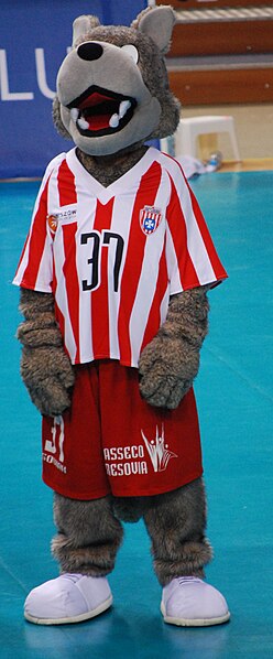 File:Soviak Resovia Rzeszów.jpg