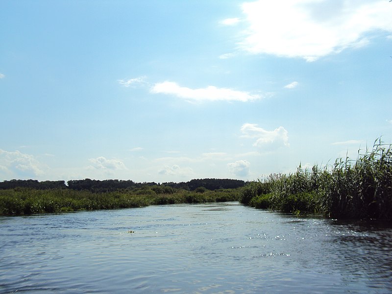 File:Spływ kajakowy Noteć - panoramio.jpg