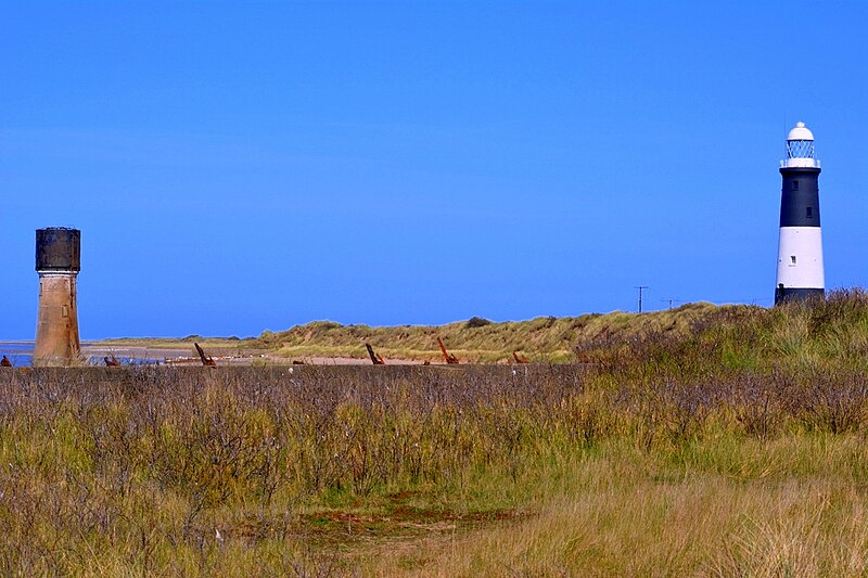 File:Spurn National Nature Reserve - geograph.org.uk - 5047663.jpg