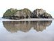 Tenby Castle Beach'ten St Catherines Adası ve Fort