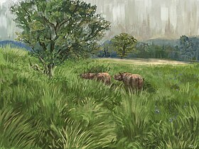 Reconstruction of two Merck's rhinoceros (Stephanorhinus kirchbergensis) in a mixed Eemian landscape with solitary oak trees. Stephanorhinus kirchbergensis Eemian landscape.jpg