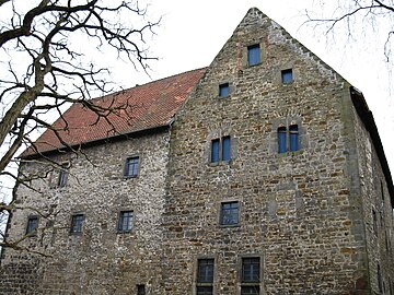 Romanesque palas SteuerwaldPalas1.jpg