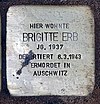 Stolperstein Niederbarnimstr 13 (Frhai) Brigitte Erb.jpg